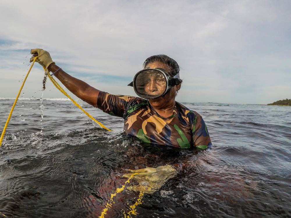 women-of-the-sea